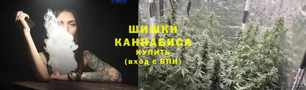 прущий лед Гусев