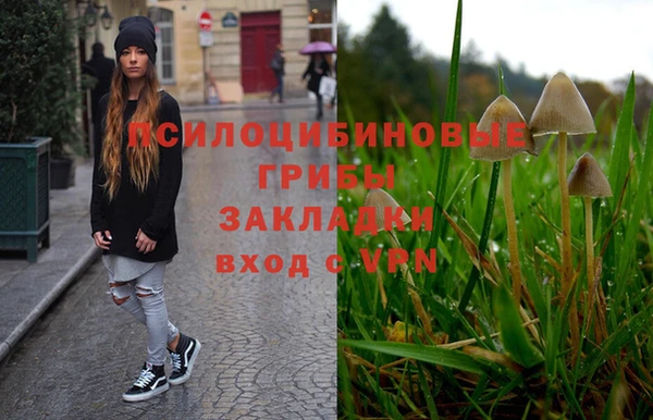 прущий лед Гусев