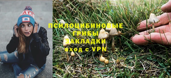 синтетический гашиш Гусиноозёрск