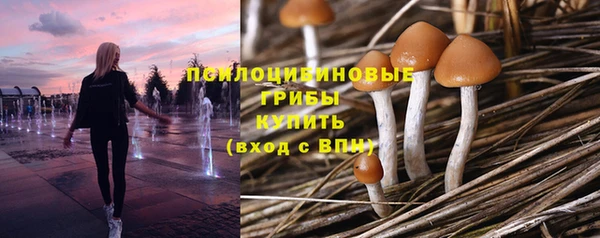 синтетический гашиш Гусиноозёрск