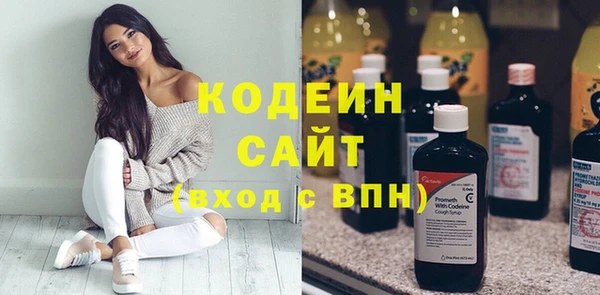 прущий лед Гусев