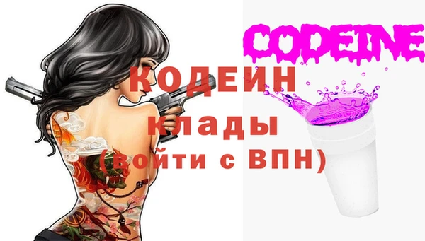 прущий лед Гусев