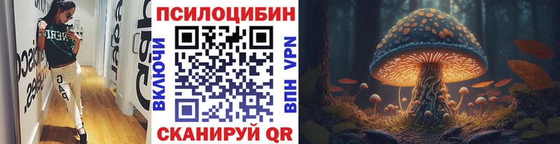Псилоцибиновые грибы MAGIC MUSHROOMS  Купить где  Камышлов 